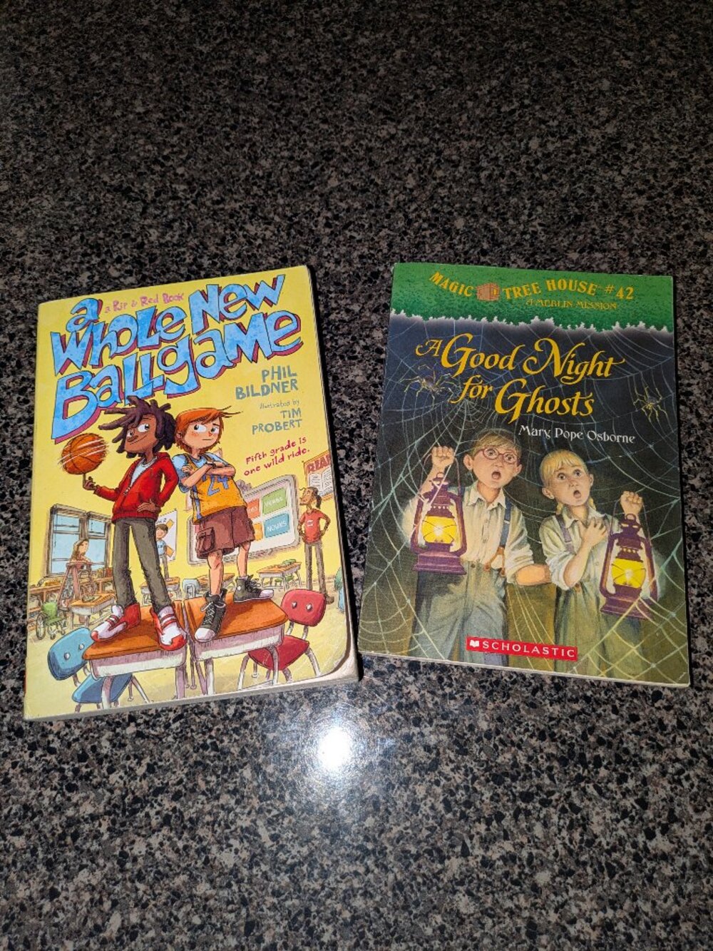 Two Kids Chapter Books Magic Tree House, Rip & Red